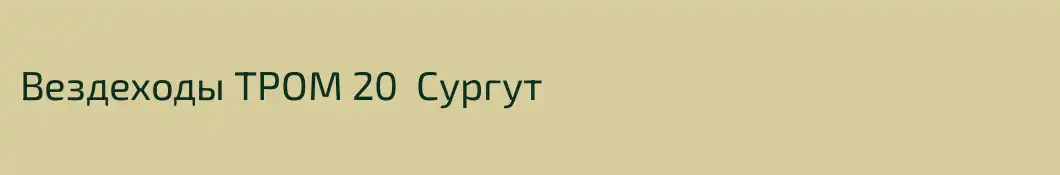 Вездеходы ТРОМ 20  Сургут